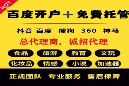 深入了解SEM代运营服务公司的策略与技巧